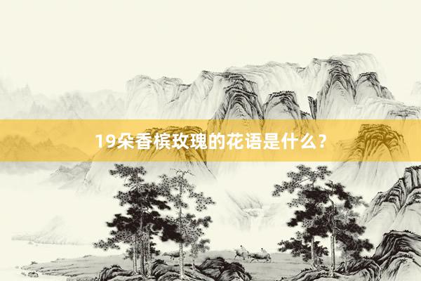 19朵香槟玫瑰的花语是什么？